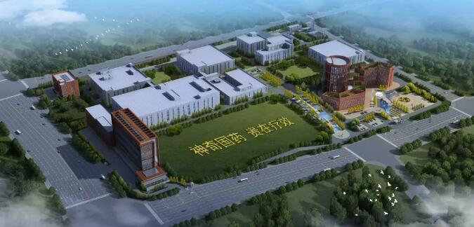 yy易游体育大健康医药产业园迎来贵阳市半年经济工作会现场观摩组5.jpg