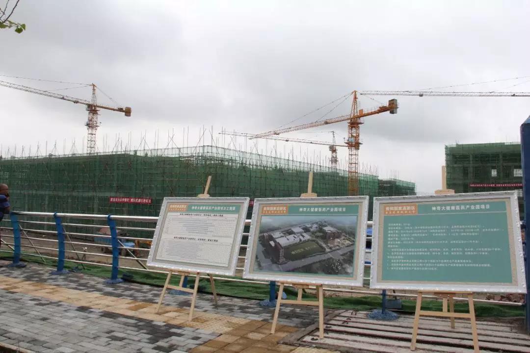 贵阳市市长陈晏调研yy易游体育大健康医药产业园3.jpg